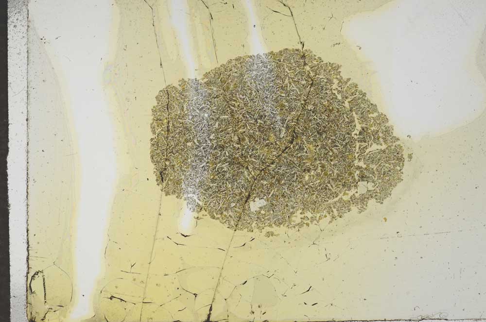 Plane Polarized, S17537