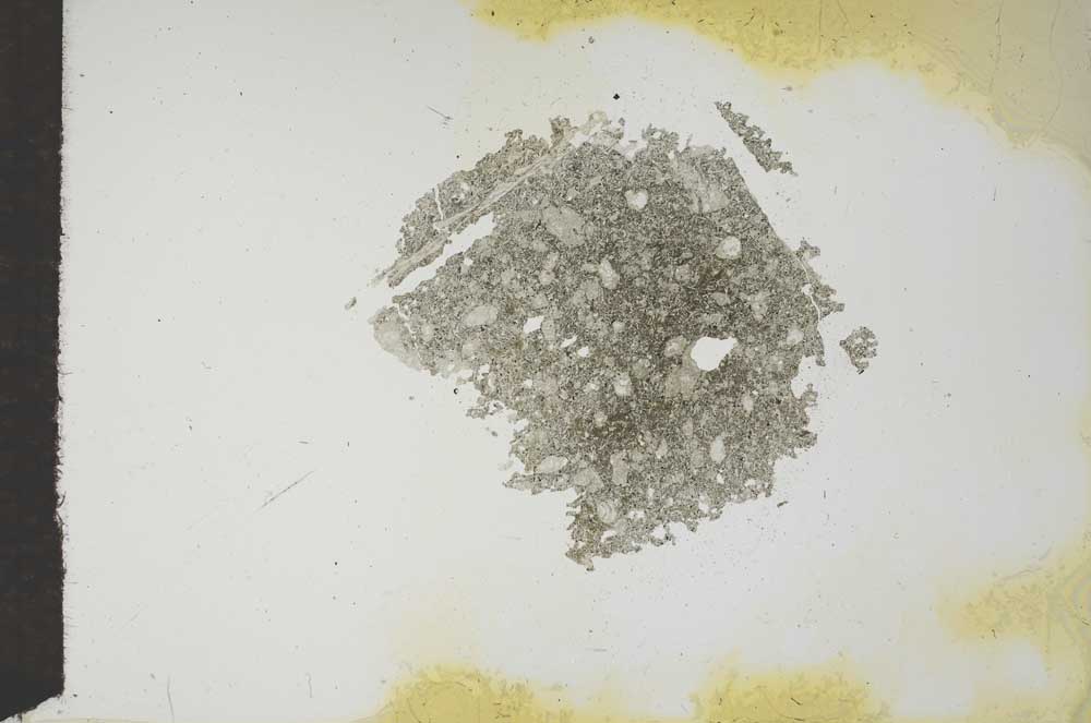 Plane Polarized, S17538