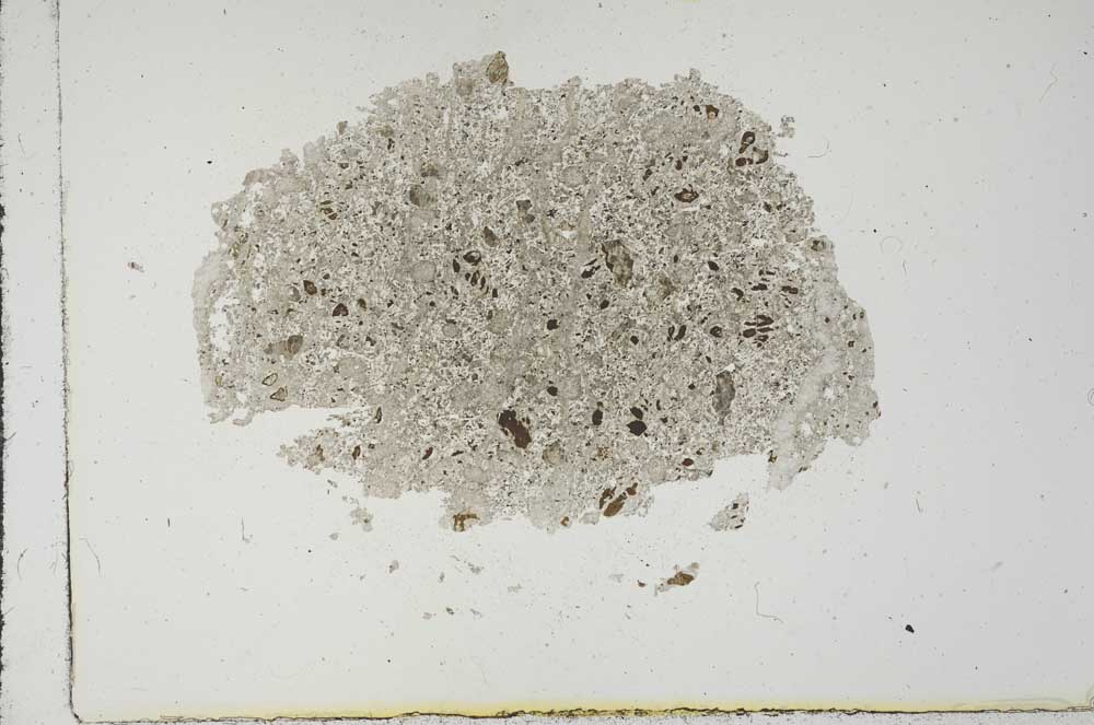 Plane Polarized, S17539