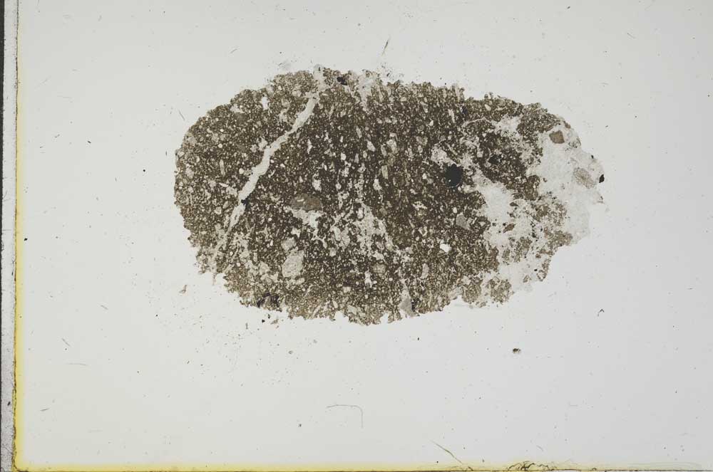 Plane Polarized, S17542