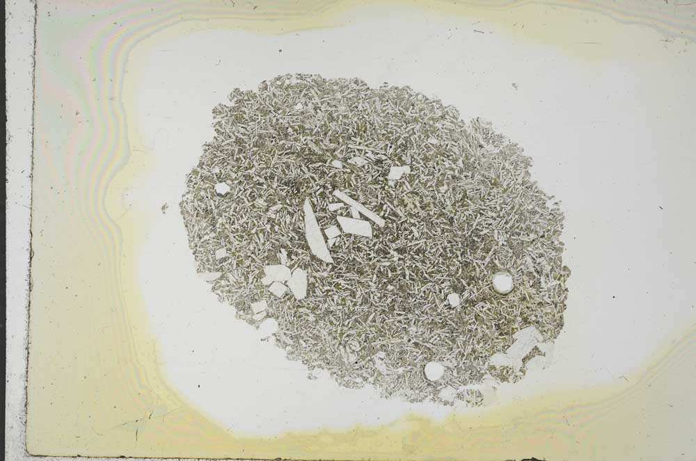 Plane Polarized, S17543