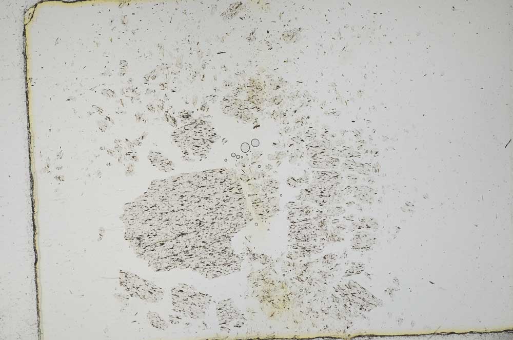 Plane Polarized, S17564