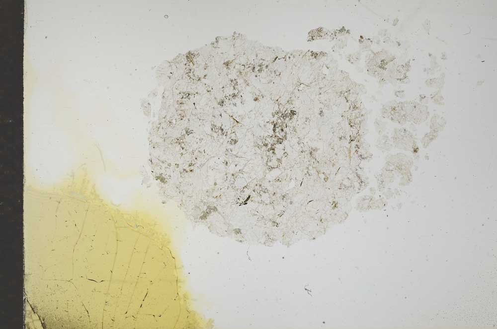 Plane Polarized, S17578