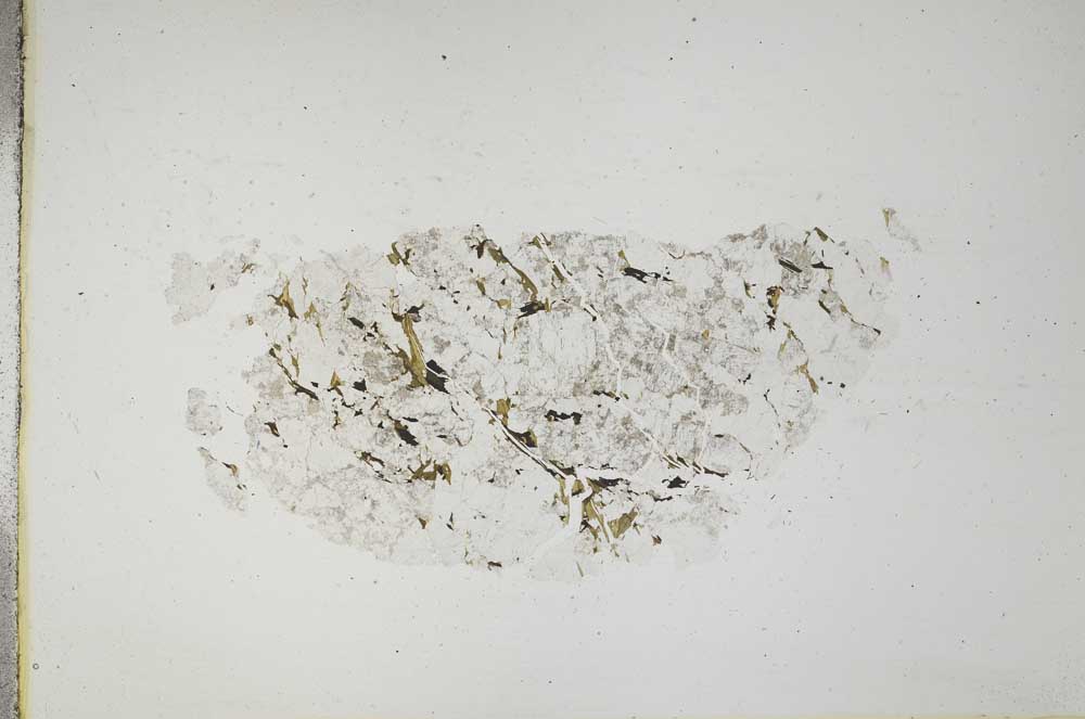 Plane Polarized, S17597