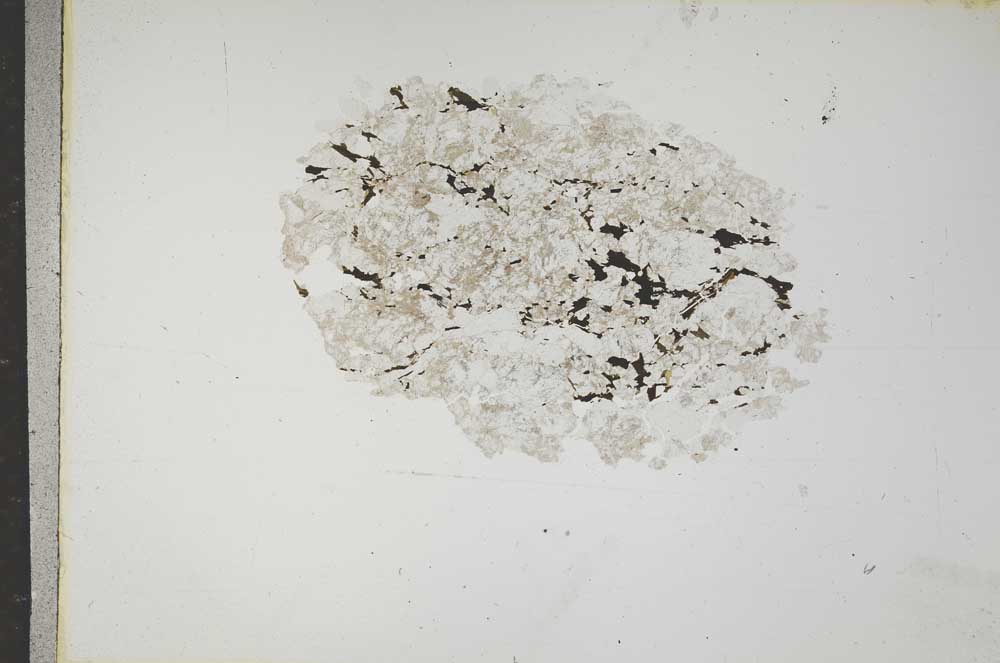 Plane Polarized, S17600