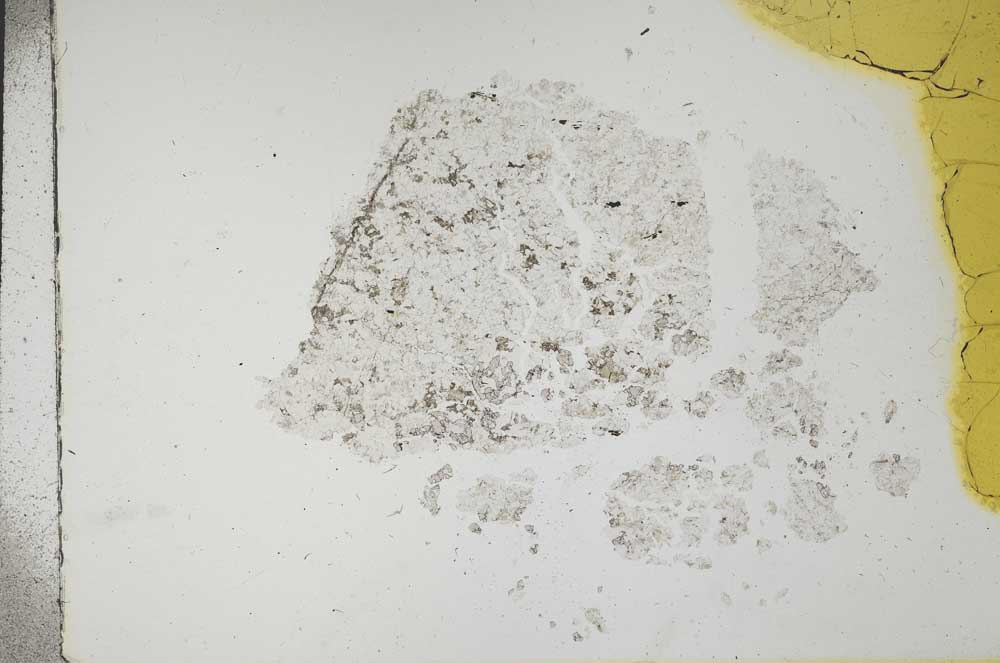 Plane Polarized, S17602