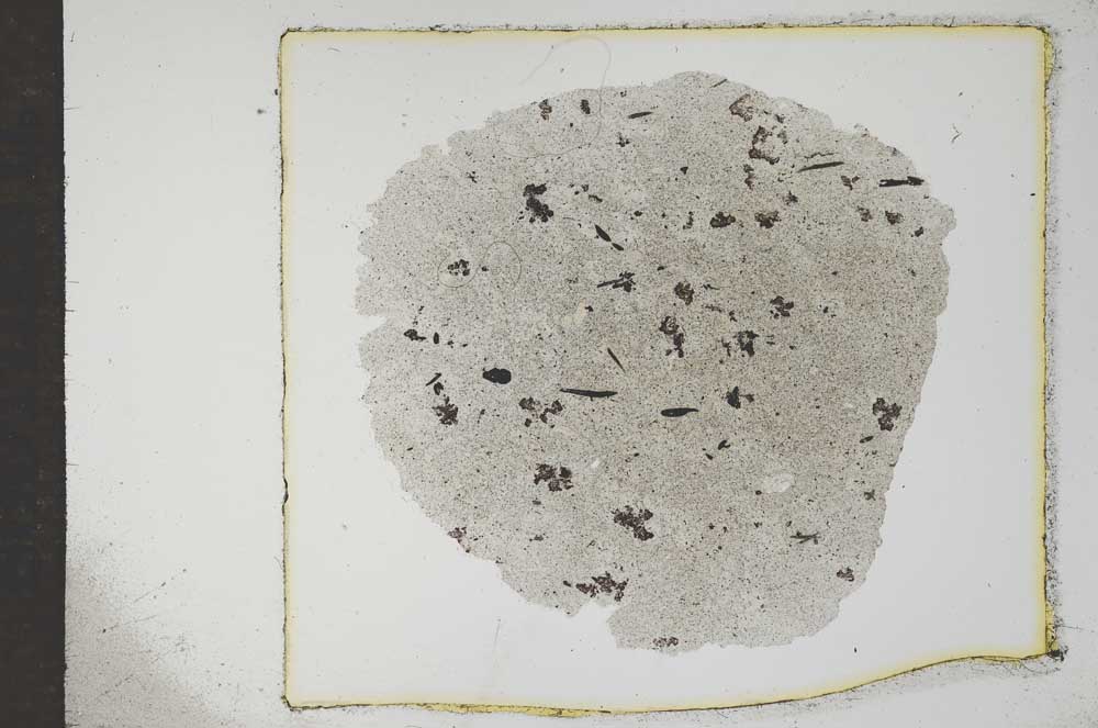Plane Polarized, S17611