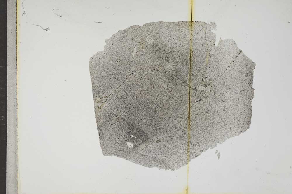Plane Polarized, S17620