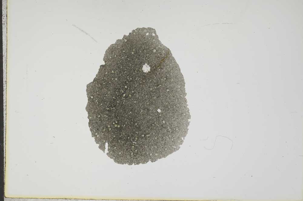 Plane Polarized, S17621