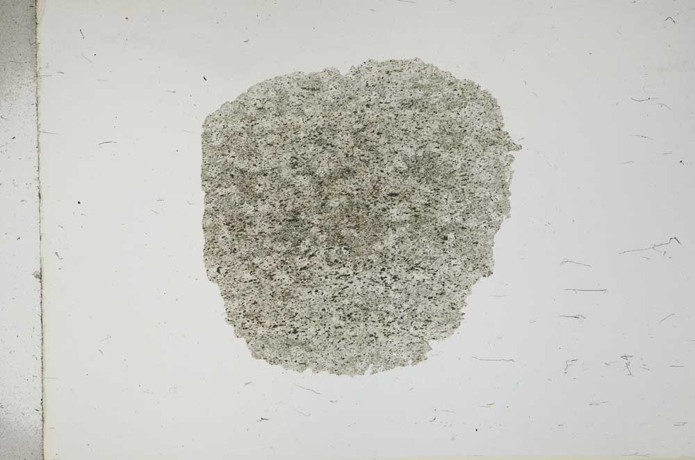 Plane Polarized, S17622