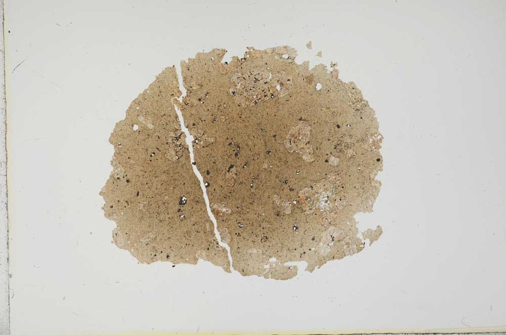 Plane Polarized, S17643