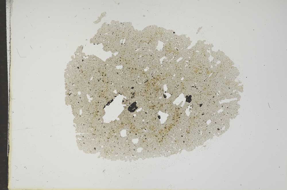 Plane Polarized, S17645