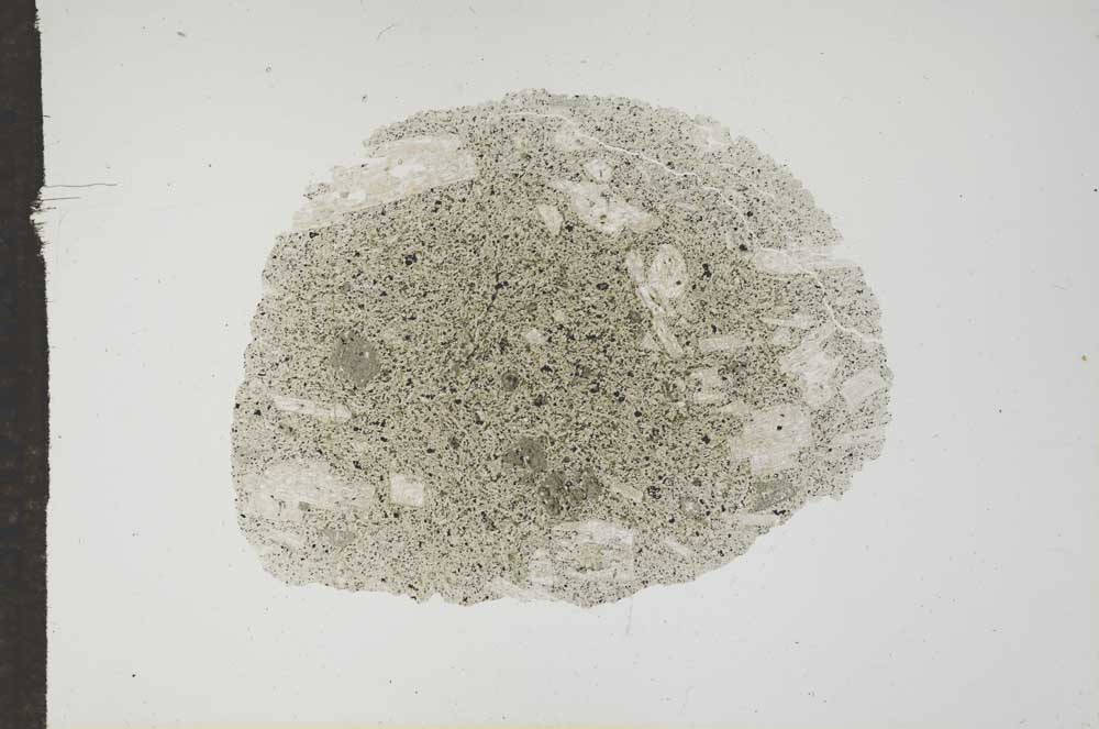 Plane Polarized, S17647
