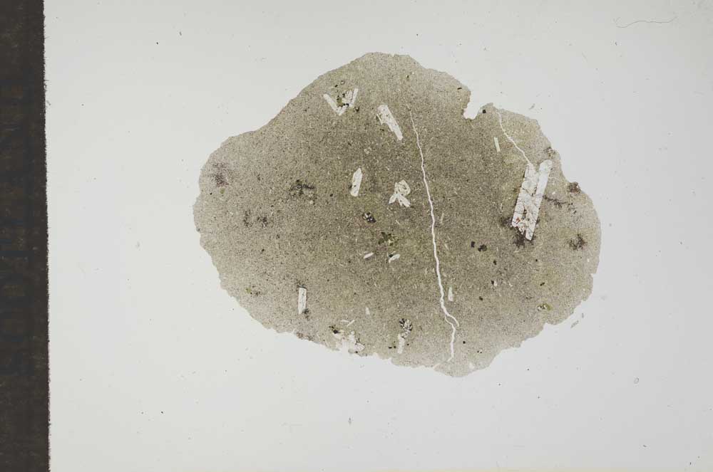 Plane Polarized, S17648