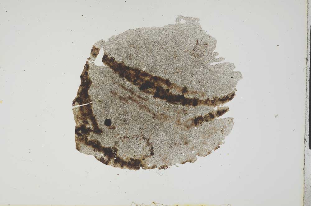 Plane Polarized, S17651