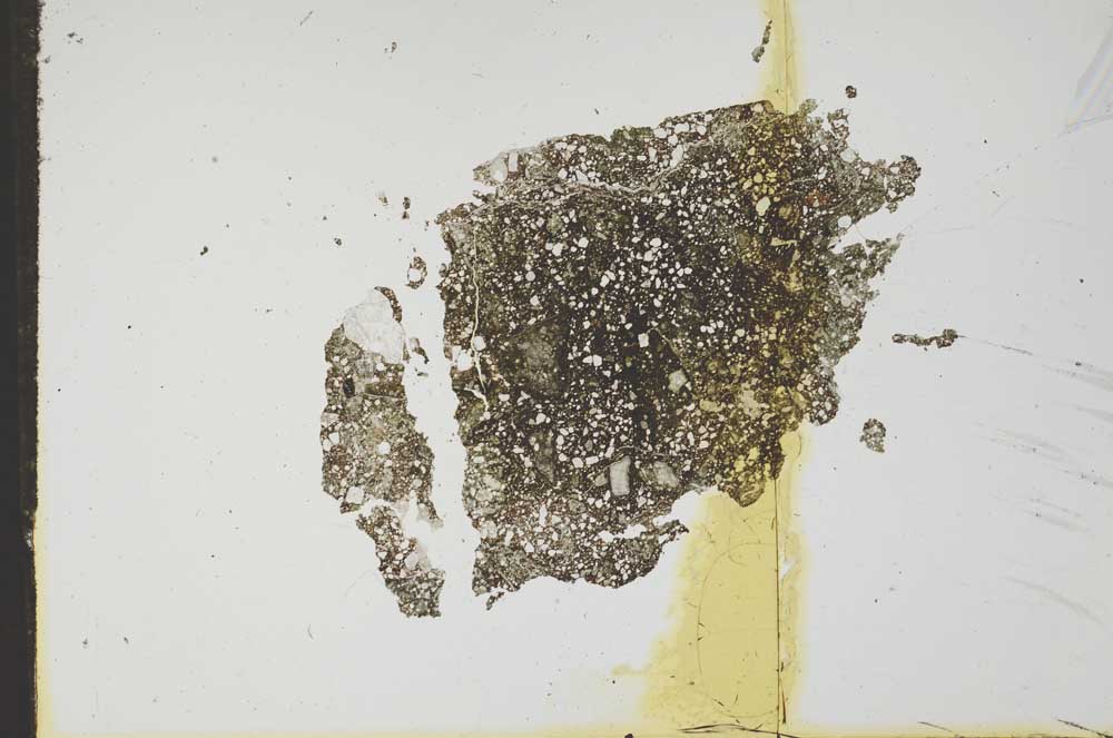 Plane Polarized, S17653