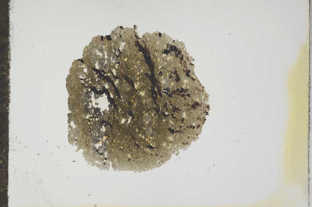 Plane Polarized, S17654