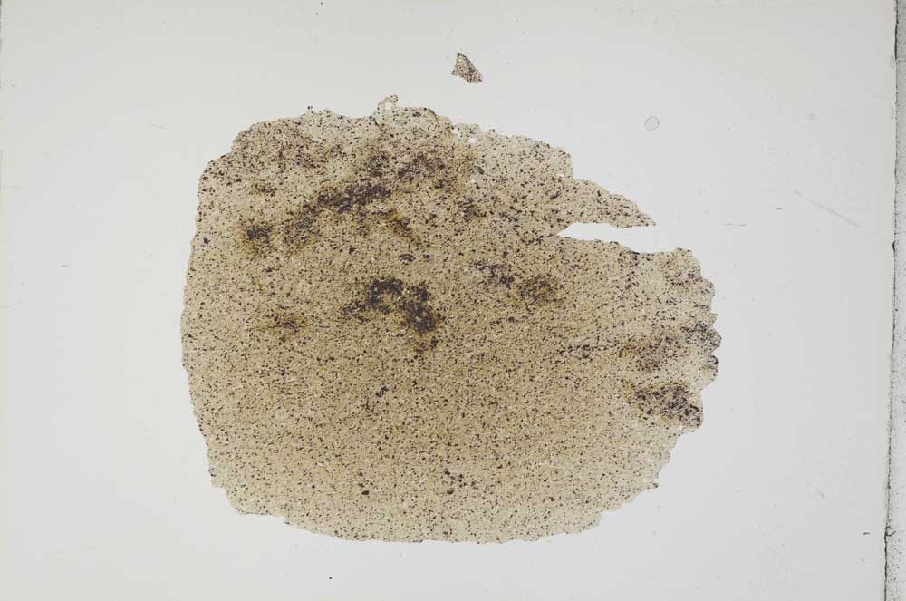 Plane Polarized, S17657