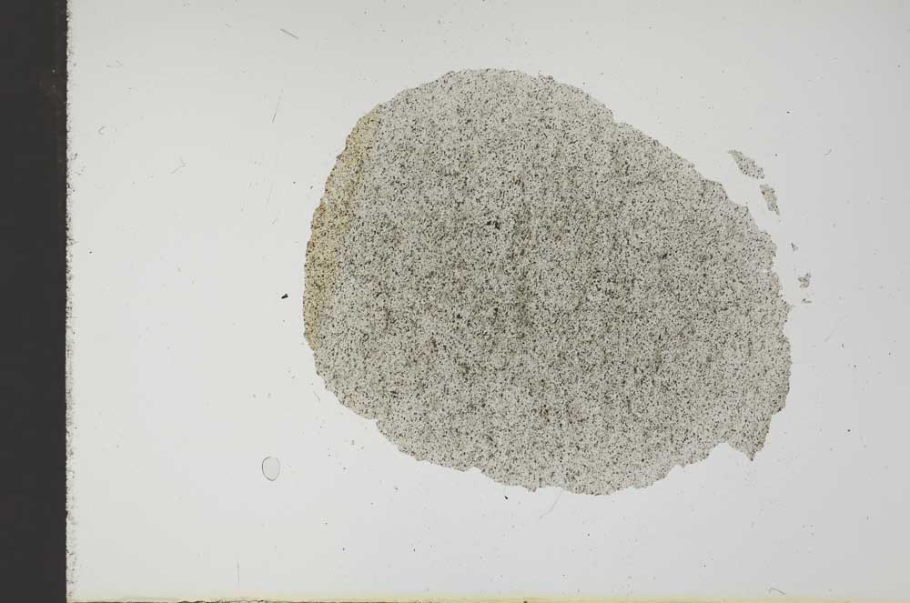 Plane Polarized, S17659