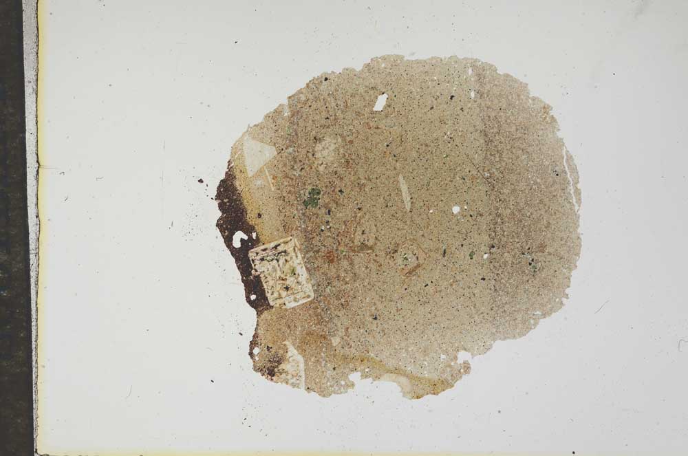 Plane Polarized, S17660