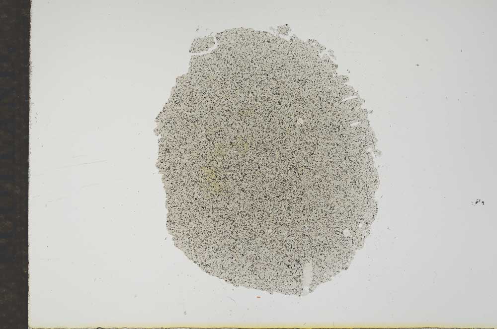 Plane Polarized, S17664