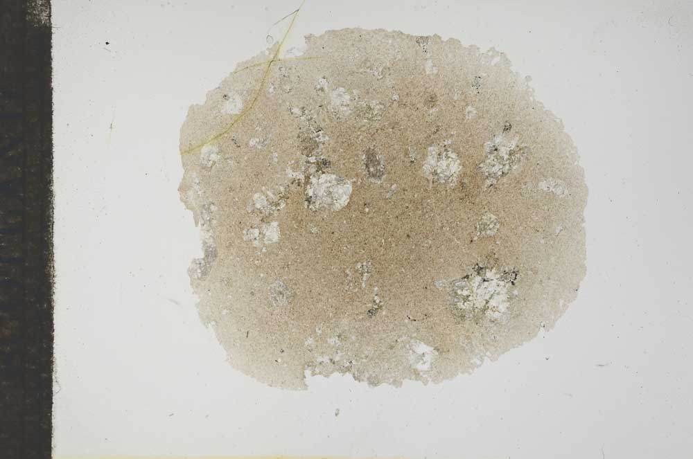 Plane Polarized, S17670