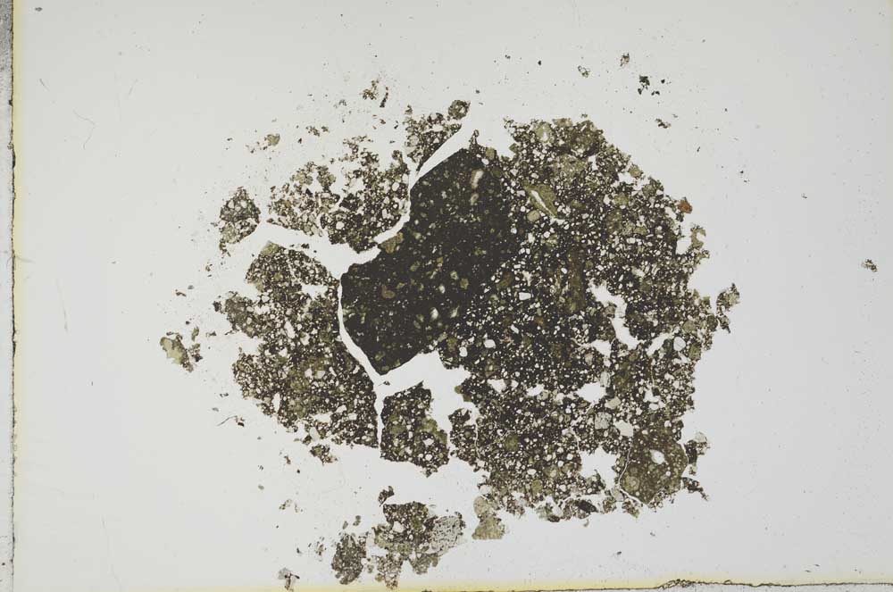 Plane Polarized, S17674