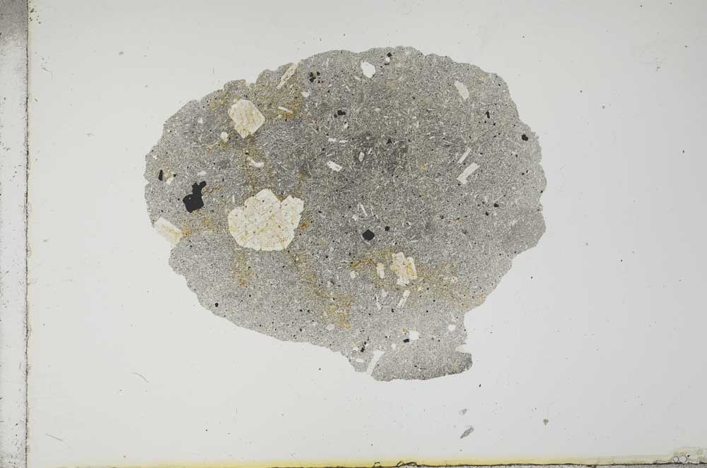 Plane Polarized, S17675