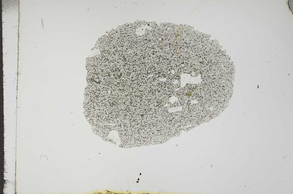 Plane Polarized, S17679