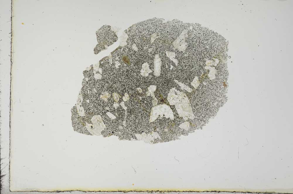 Plane Polarized, S17681