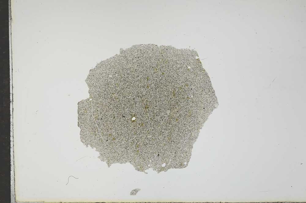 Plane Polarized, S17684