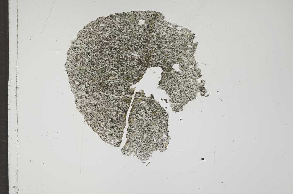 Plane Polarized, S17713