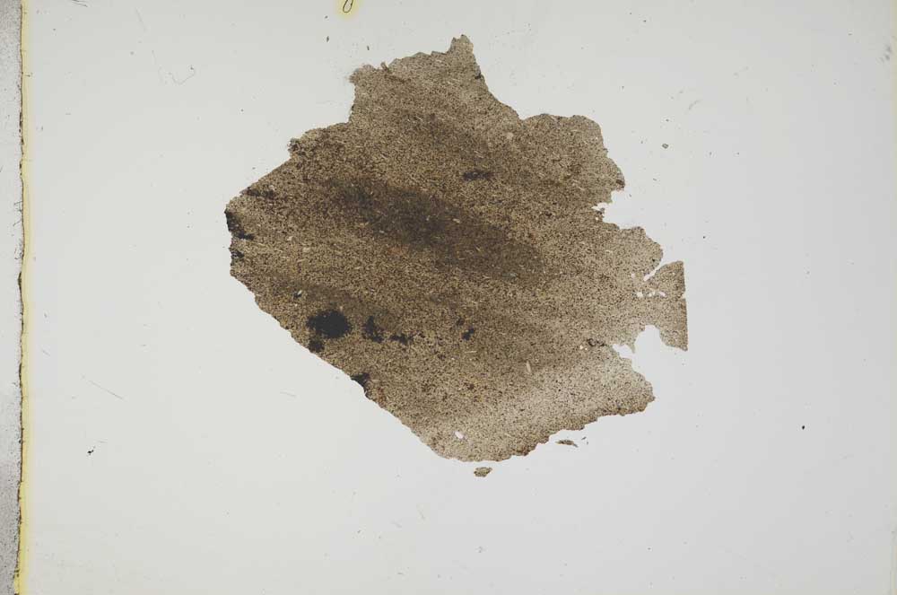 Plane Polarized, S17714