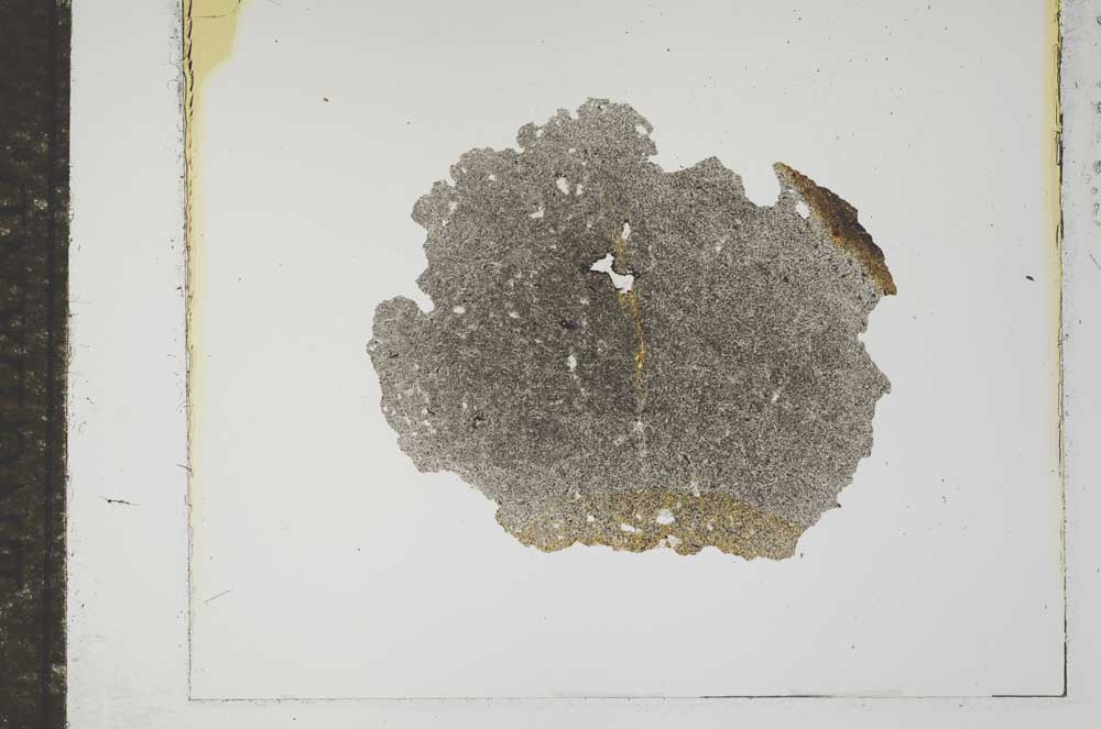 Plane Polarized, S17715