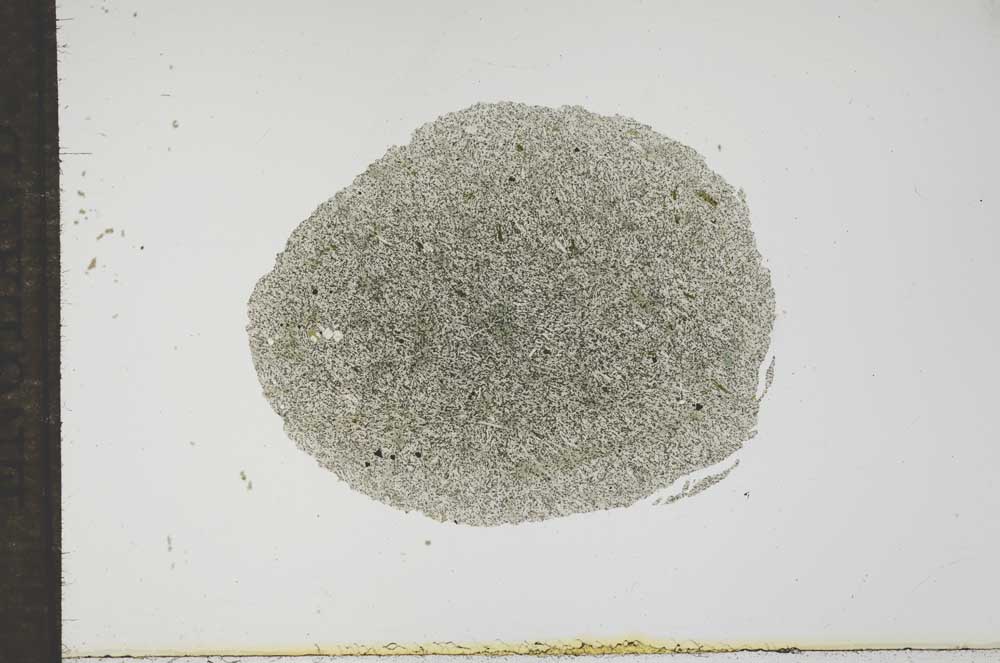 Plane Polarized, S17717