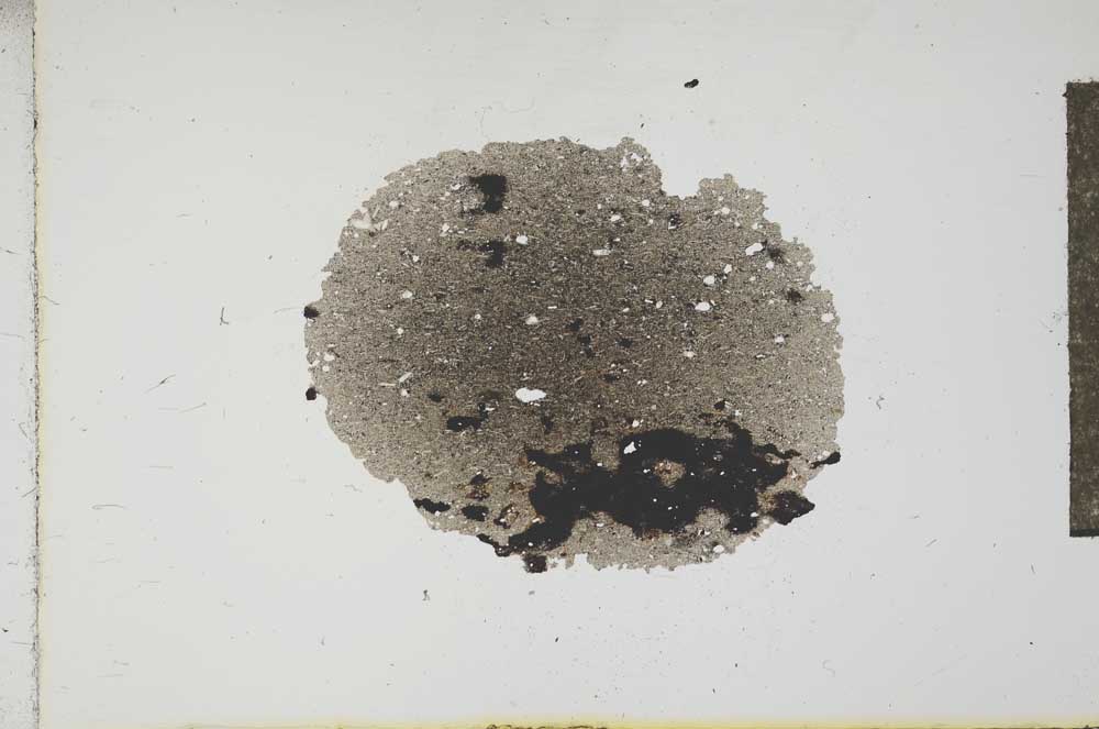 Plane Polarized, S17721