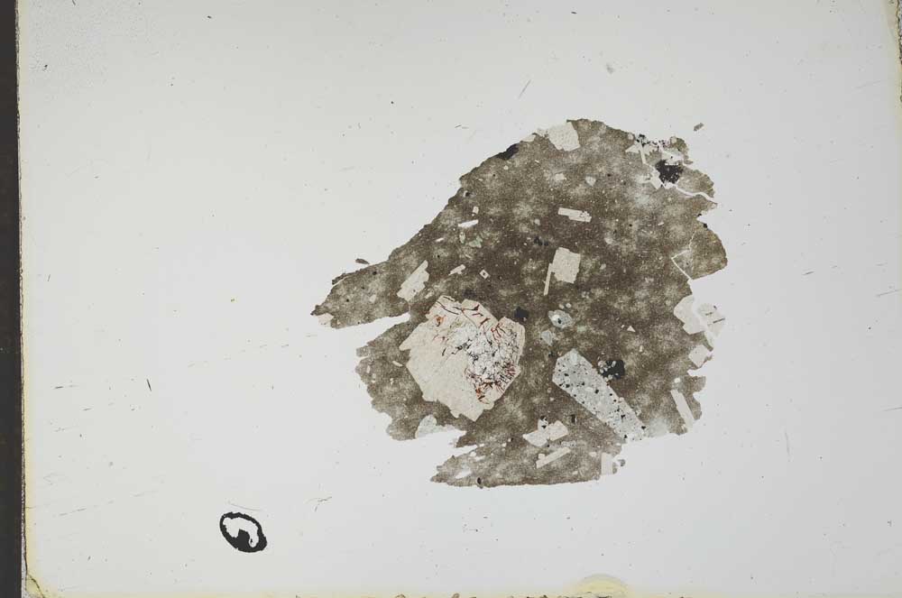 Plane Polarized, S17722