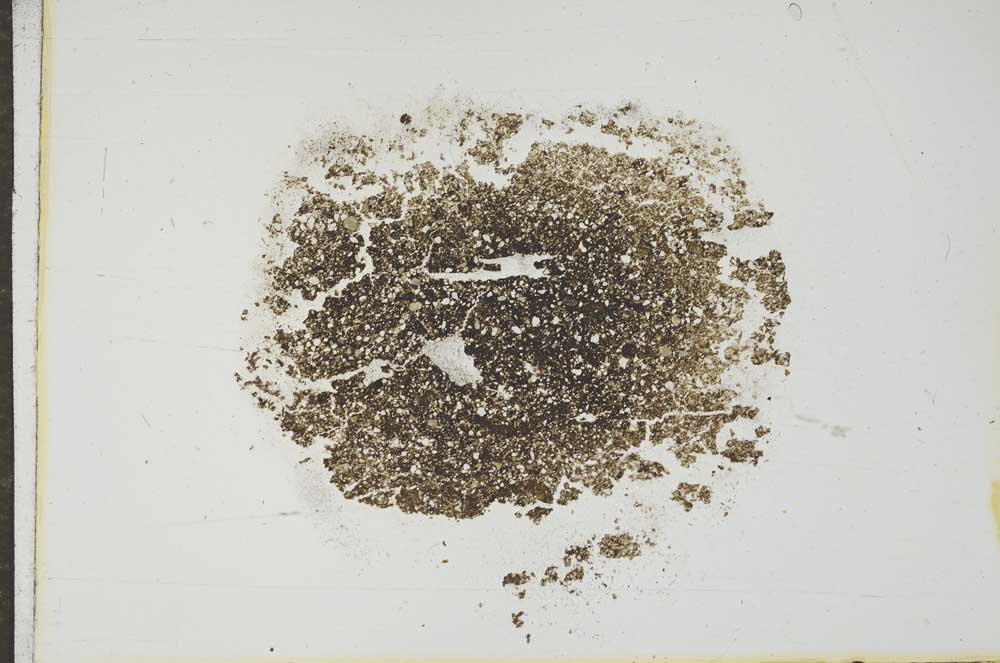 Plane Polarized, S17733