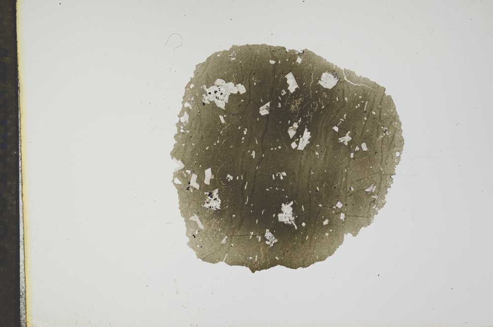 Plane Polarized, S17737