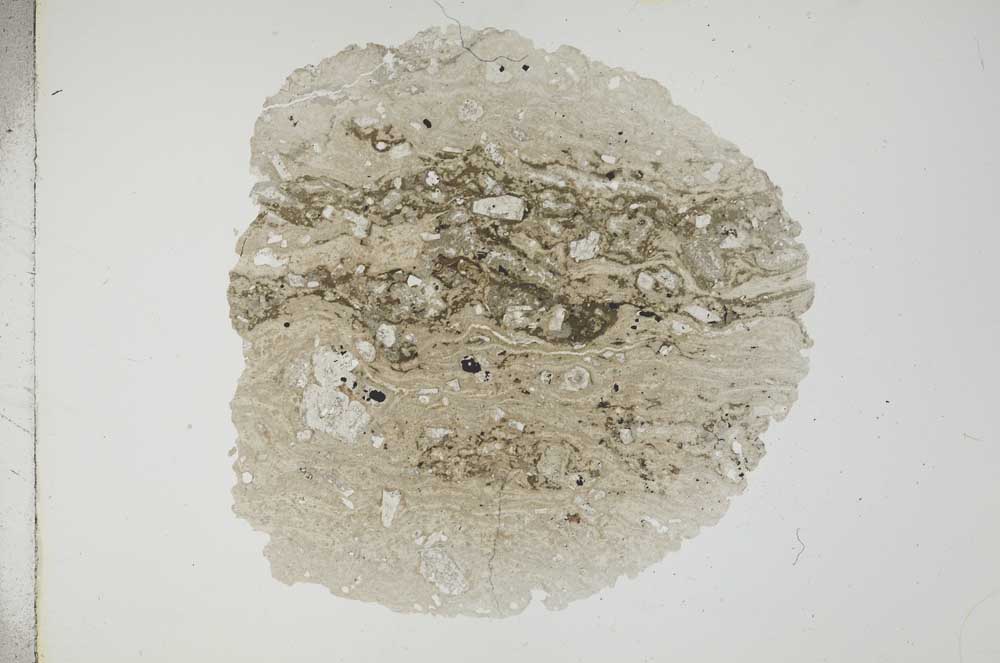 Plane Polarized, S17738
