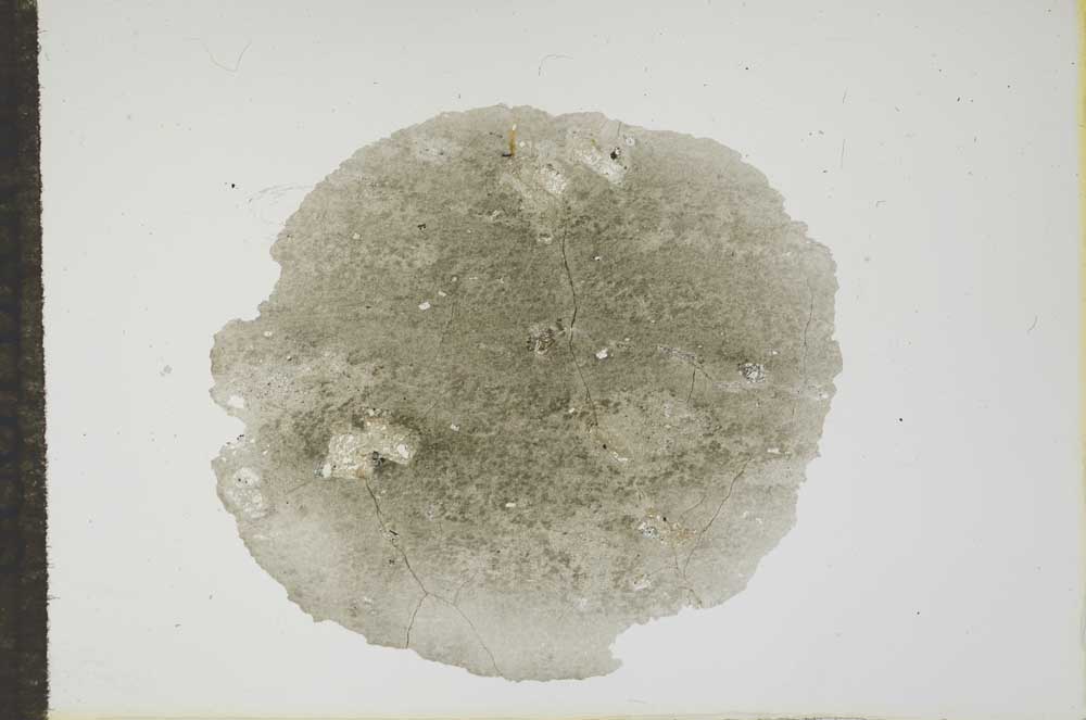 Plane Polarized, S17739