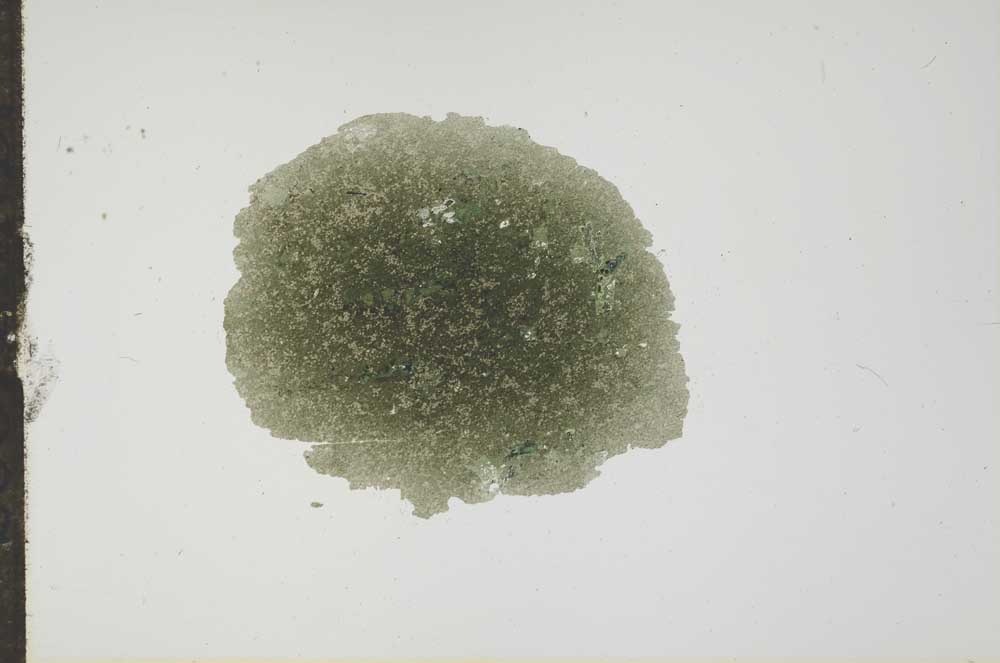 Plane Polarized, S17740