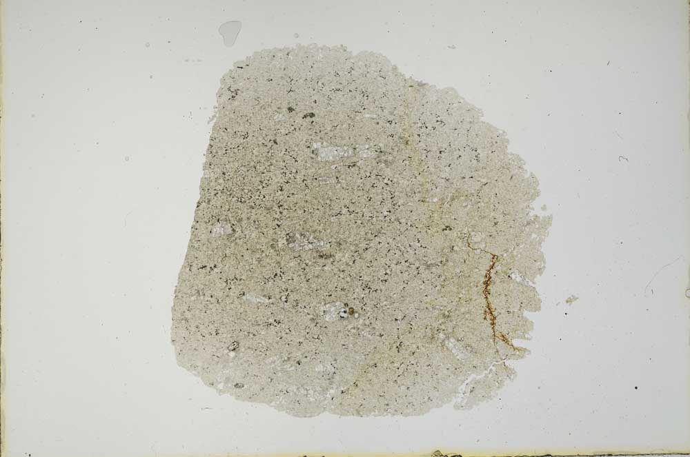 Plane Polarized, S17742