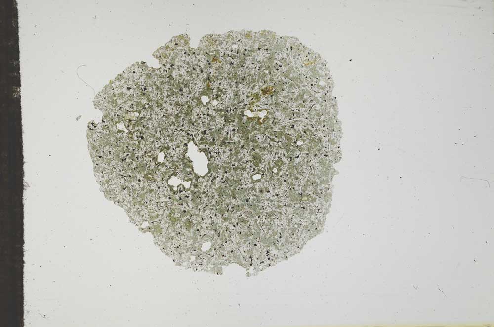 Plane Polarized, S17746