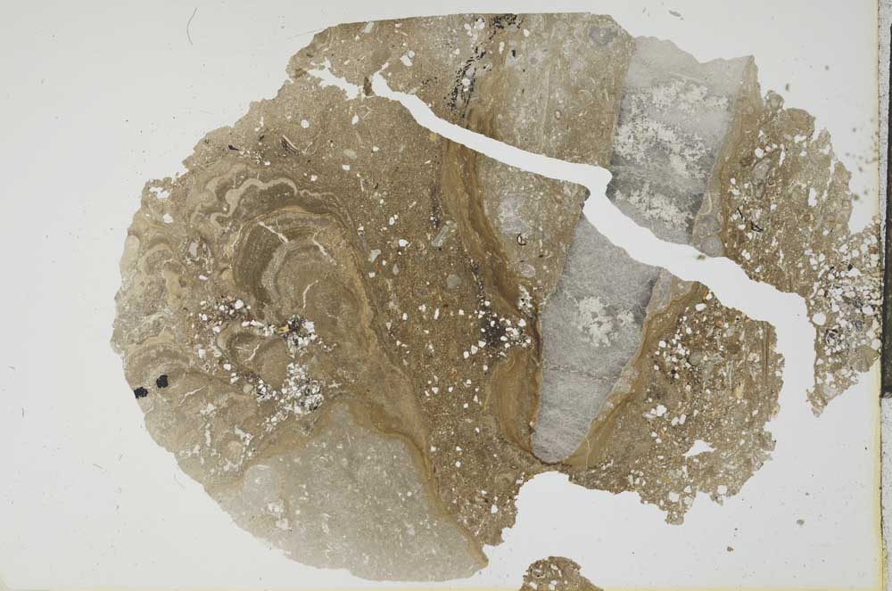 Plane Polarized, S17749