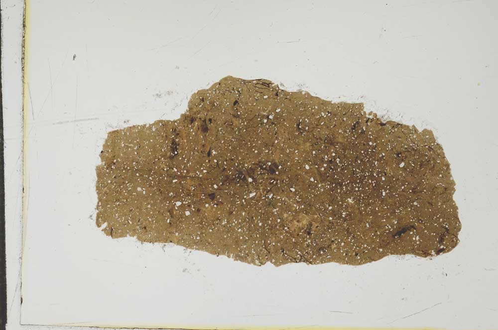Plane Polarized, S17750