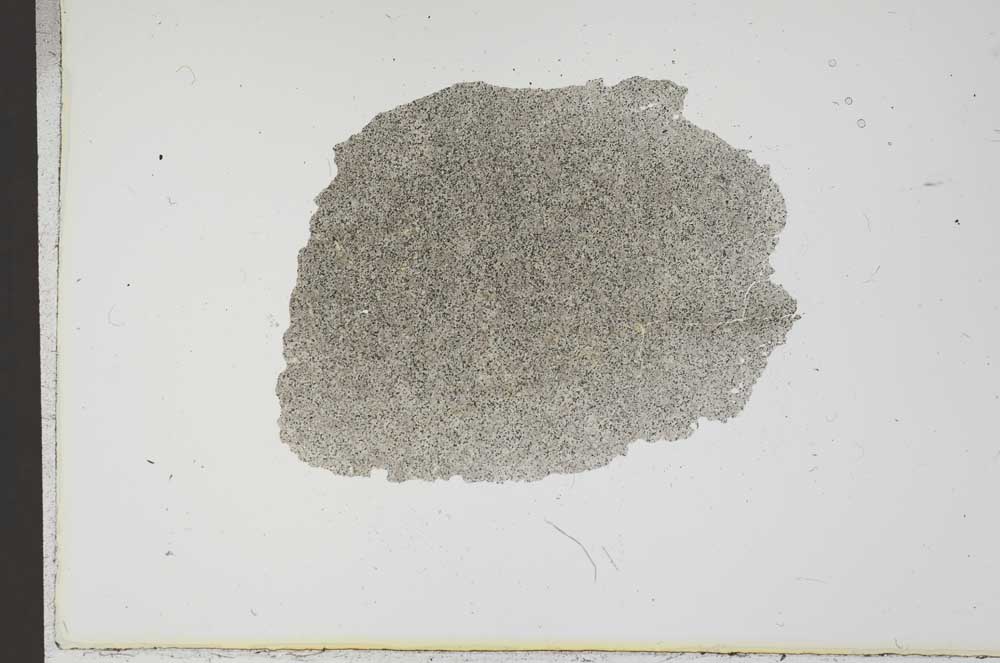 Plane Polarized, S17825
