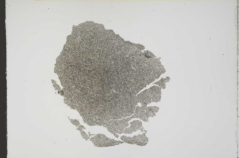 Plane Polarized, S17827