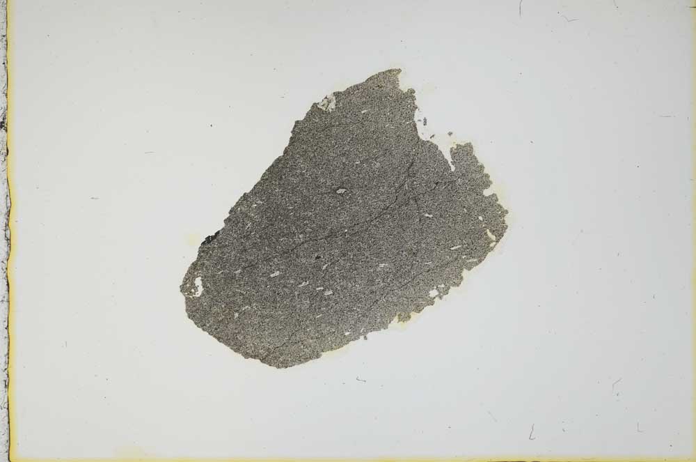 Plane Polarized, S17830