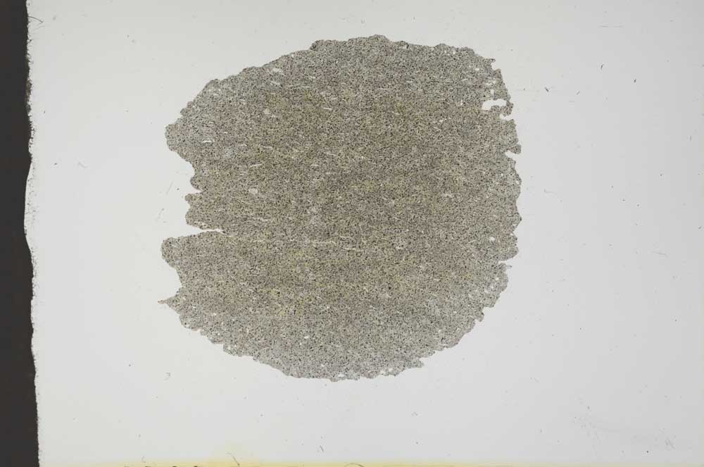 Plane Polarized, S17831